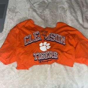 Champion Cropped top. Size: large